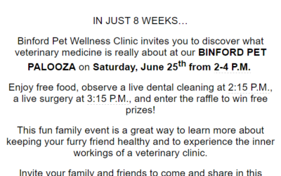 Pet Palooza Coming to Binford Pet Wellness Clinic in Indianapolis