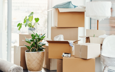 How Can I Plan Ahead for Downsizing in the Future?